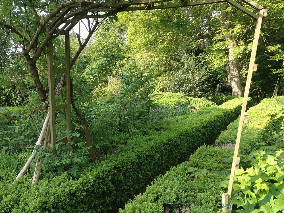 Ein Gartenbereich mit einer hölzernen Rankhilfe, die über eine Hecke führt, im morgendlichen Licht.