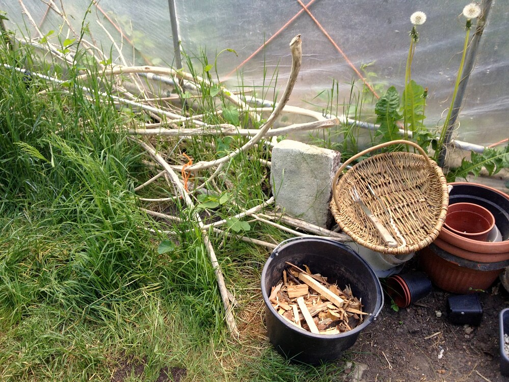 Growreport Bild 5