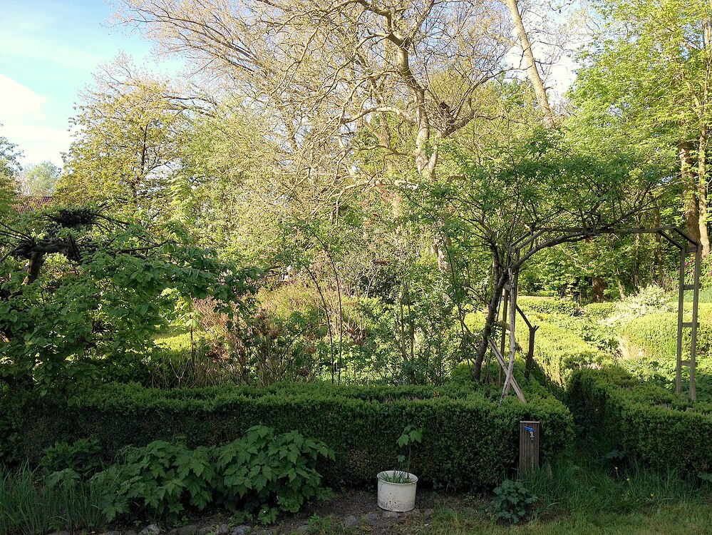 Growreport Bild 1