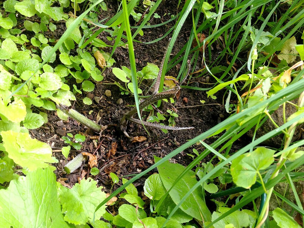 Growreport Bild 24