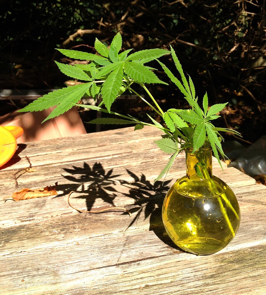 Growreport Bild 47