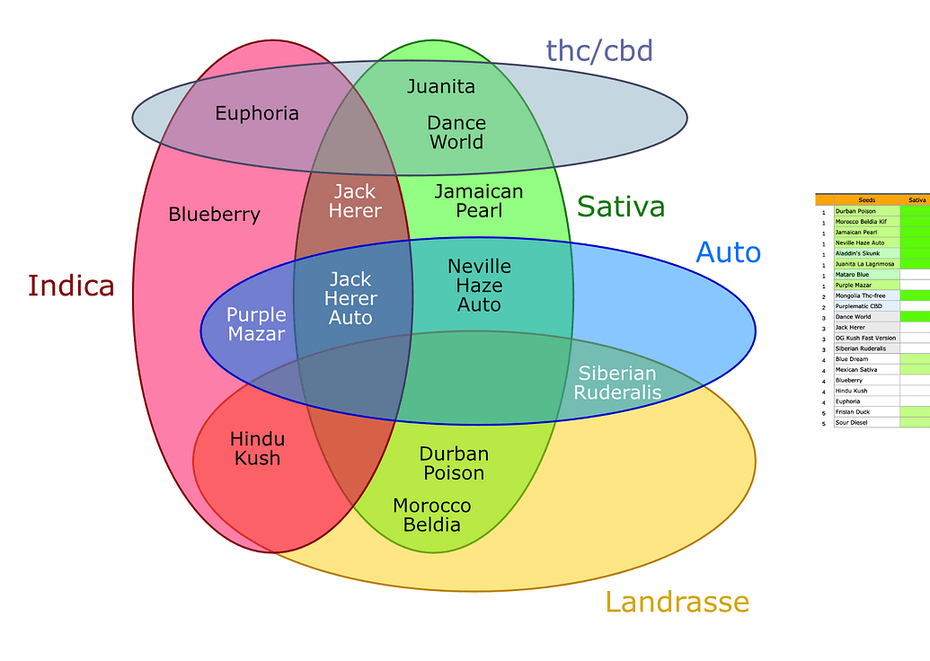 Ein Venn-Diagramm, das verschiedene Cannabissorten nach ihren Eigenschaften wie Indica, Sativa, Auto, Landrasse und THC/CBD kategorisiert.