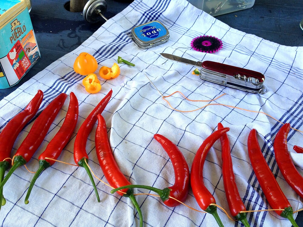 Growreport Bild 13