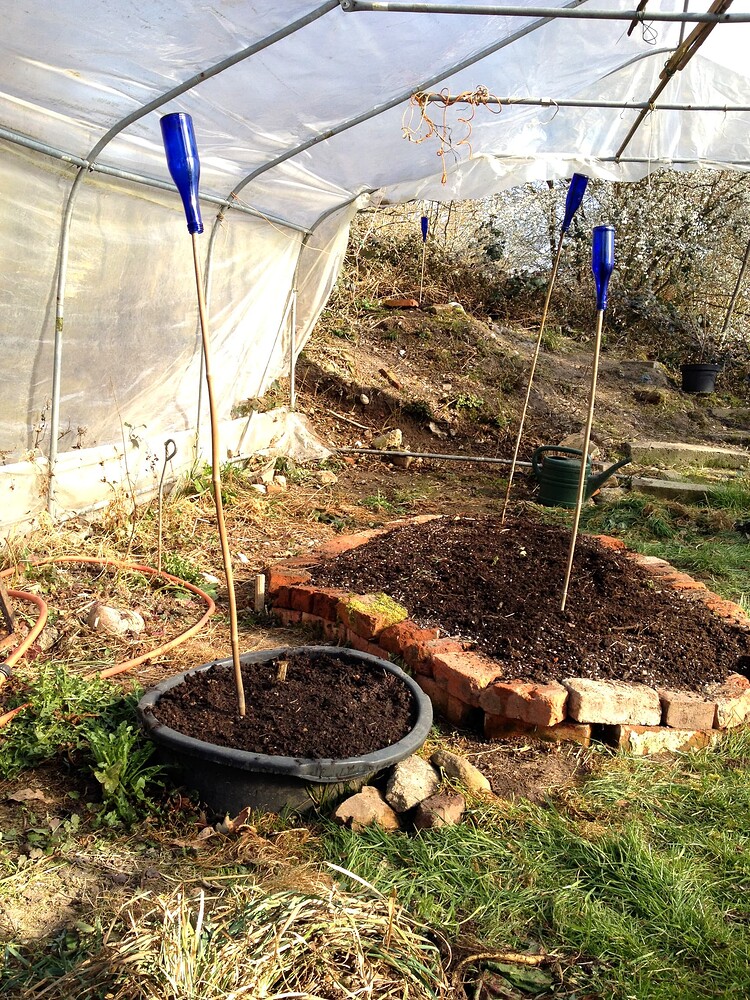 Growreport Bild 50