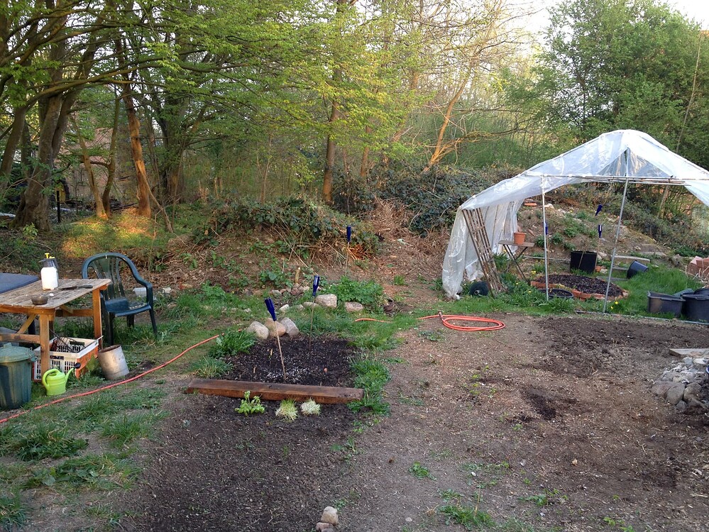 Growreport Bild 44
