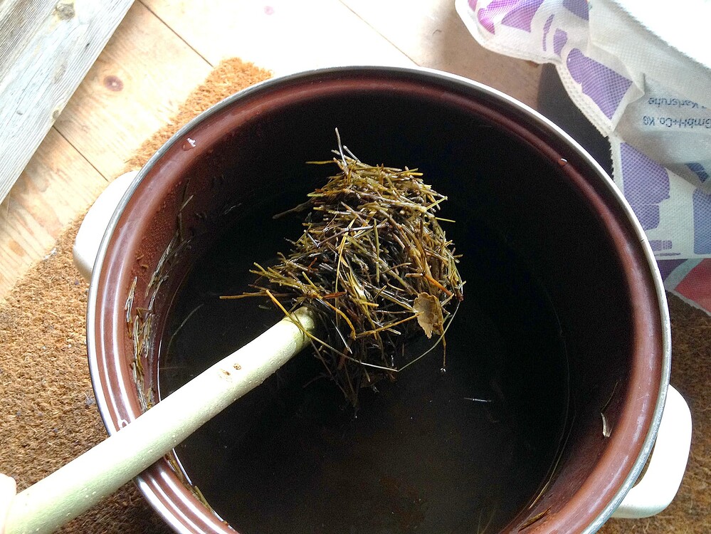 Ein Kochtopf mit einer dunklen Flüssigkeit und Schachtelhalmresten, die mit einem Holzlöffel herausgehoben werden.