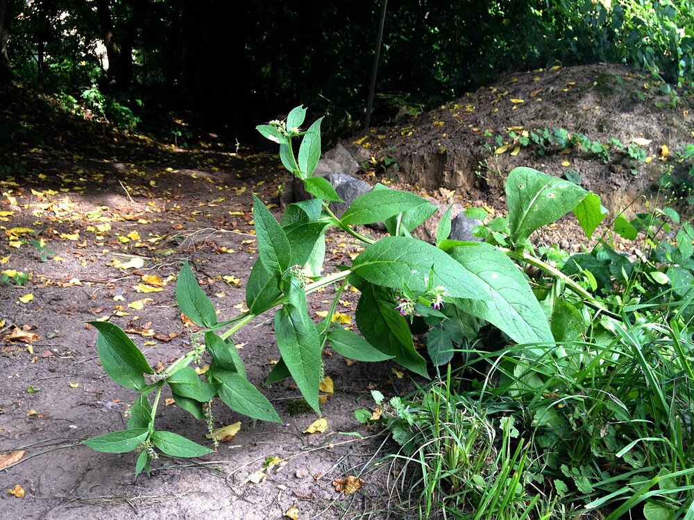 Growreport Bild 23