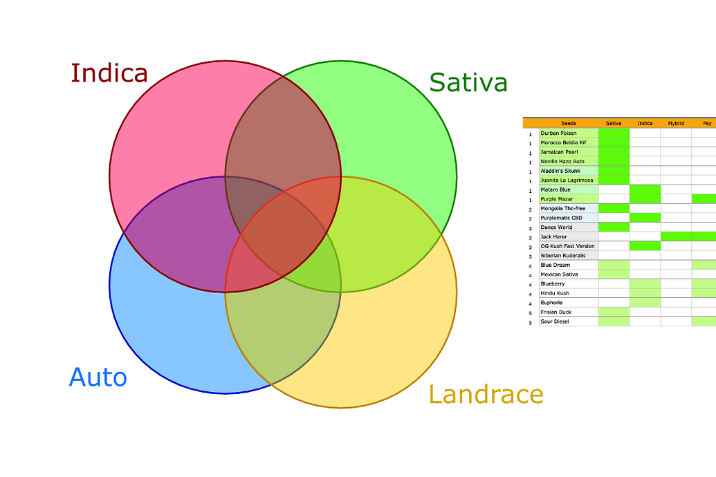 Ein Venn-Diagramm mit vier Kreisen (Indica, Sativa, Auto, Landrace) und eine Tabelle mit verschiedenen Cannabis-Sorten.