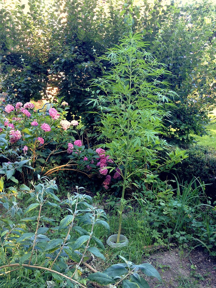 Growreport Bild 27