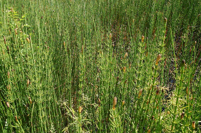 Growreport Bild 11
