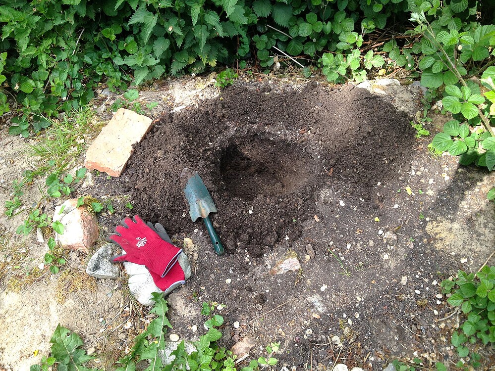 Growreport Bild 2