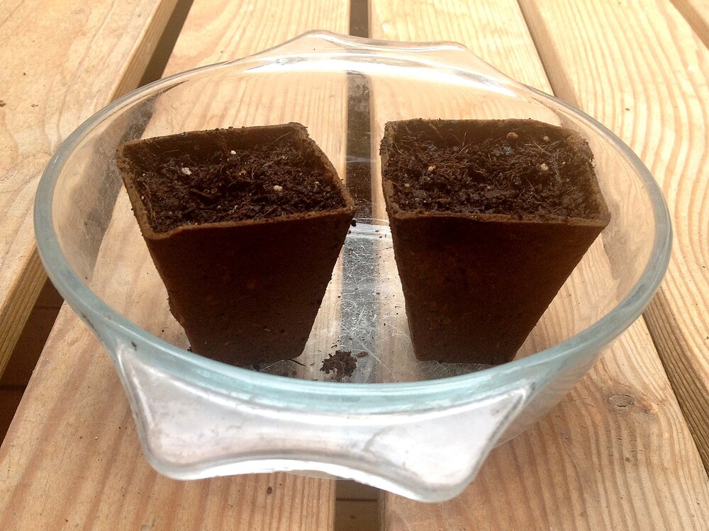 Growreport Bild 27