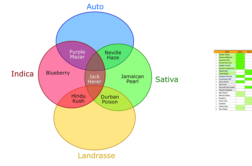 Ein Venn-Diagramm, das verschiedene Cannabis-Sorten nach ihren Eigenschaften (Indica, Sativa, Auto, Landrasse) kategorisiert, daneben eine Tabelle mit Sortenlisten.