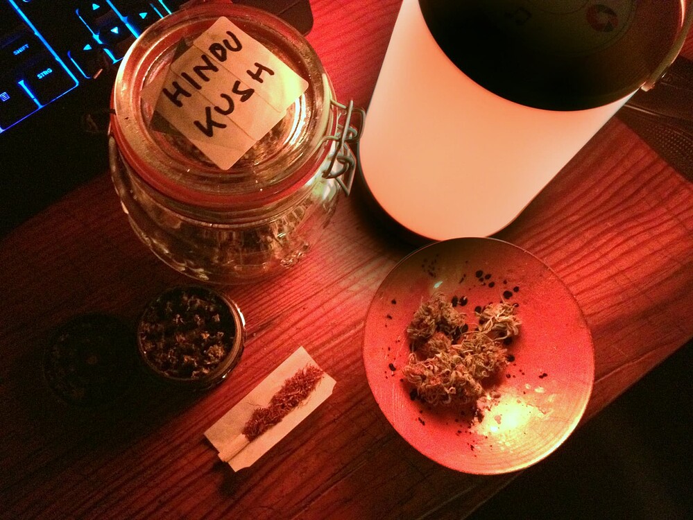 Growreport Bild 2