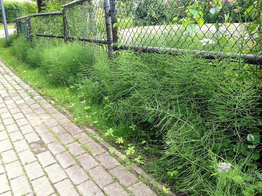Growreport Bild 15