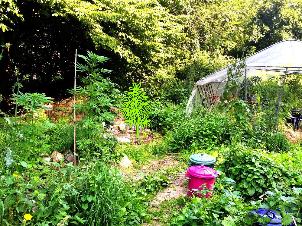 Growreport Bild 3