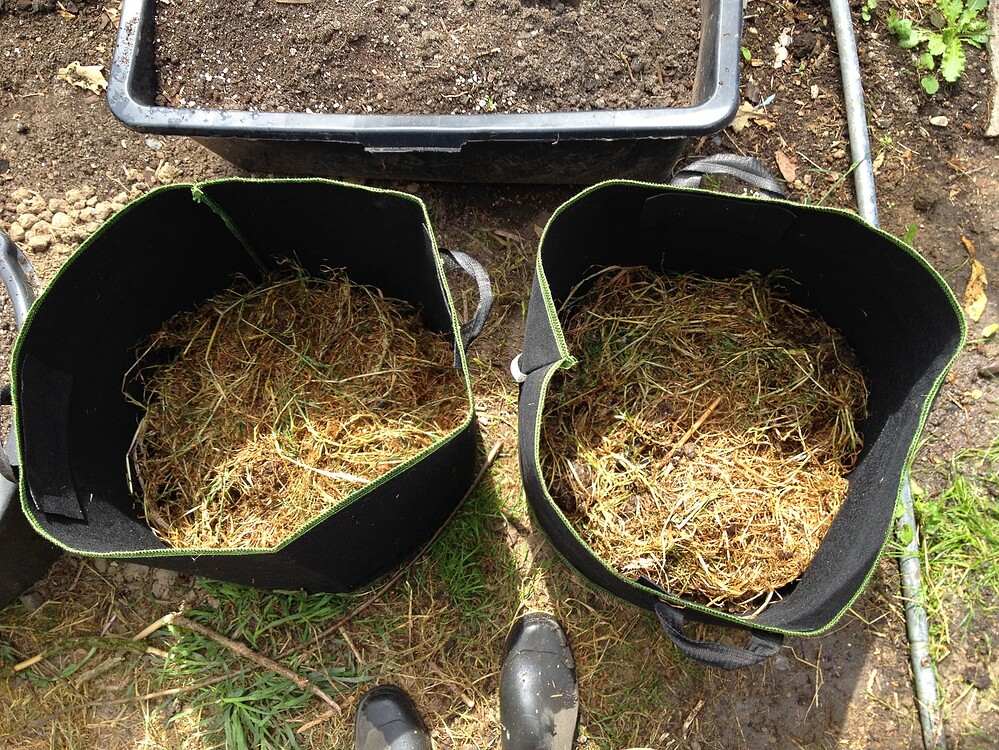 Growreport Bild 57
