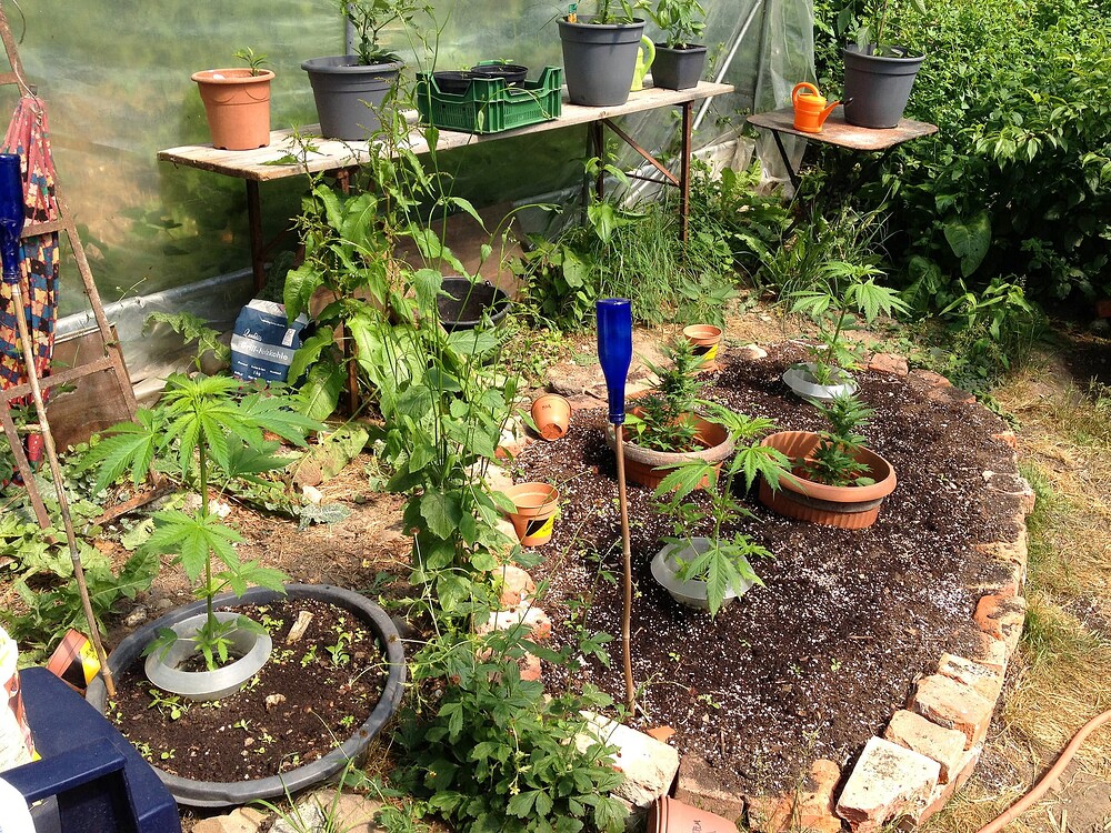 Growreport Bild 24