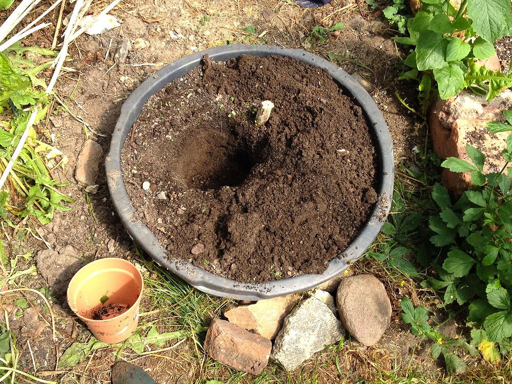 Growreport Bild 32