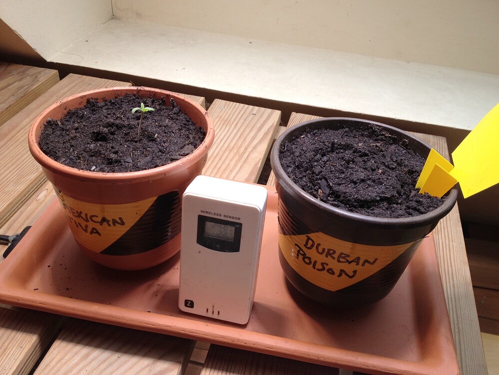Growreport Bild 45