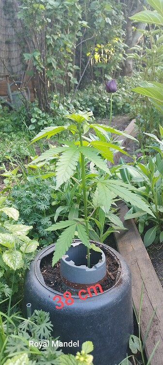 Growreport Bild 17