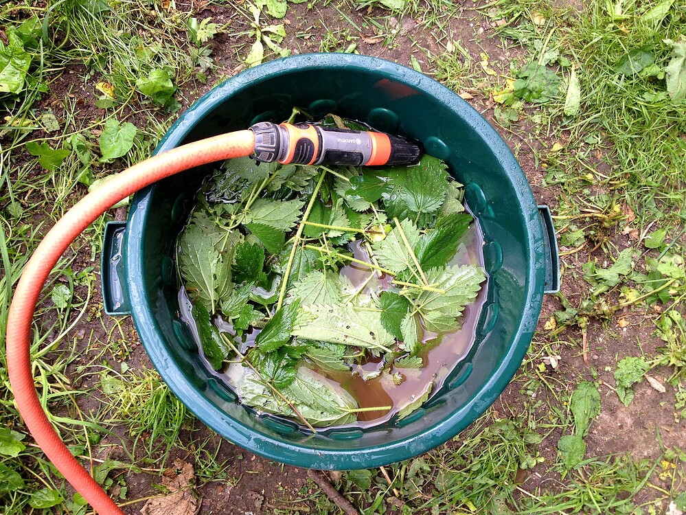 Growreport Bild 24