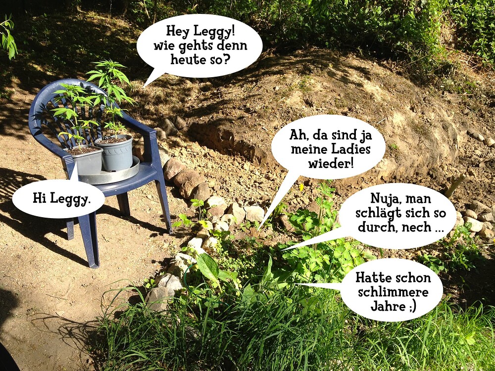 Growreport Bild 33