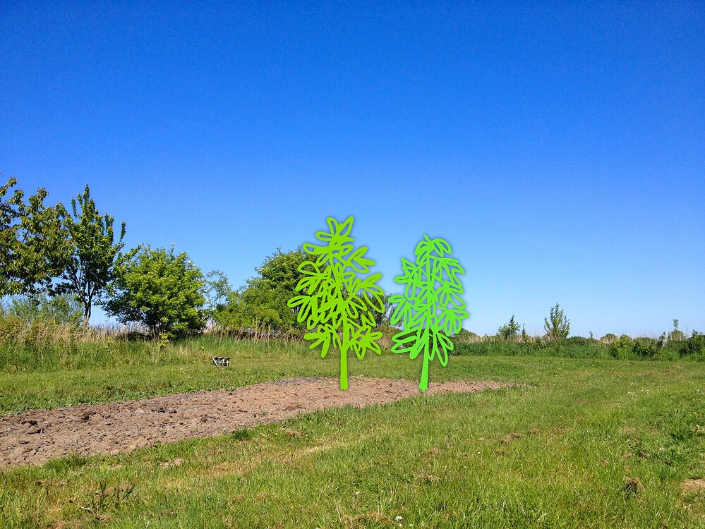 Growreport Bild 15