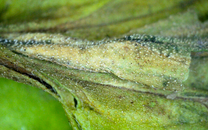 Growreport Bild 16