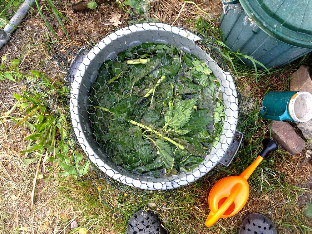 Growreport Bild 7