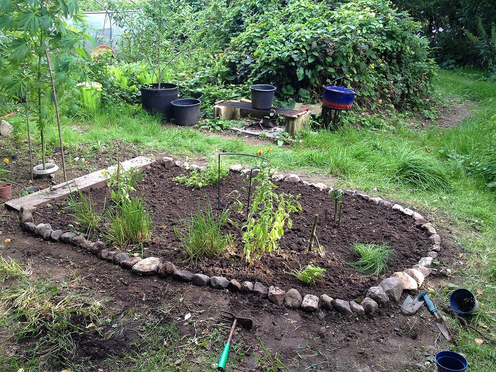 Growreport Bild 7