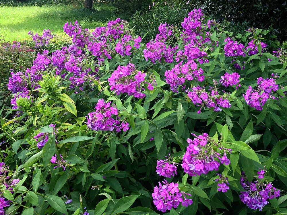 Growreport Bild 23