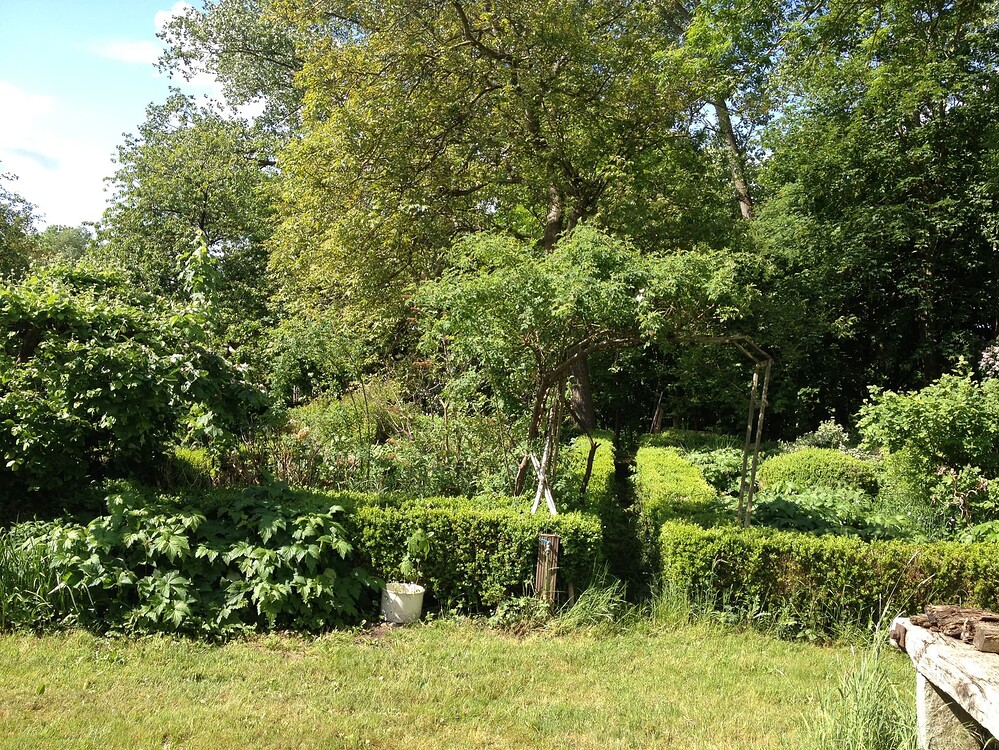 Growreport Bild 27