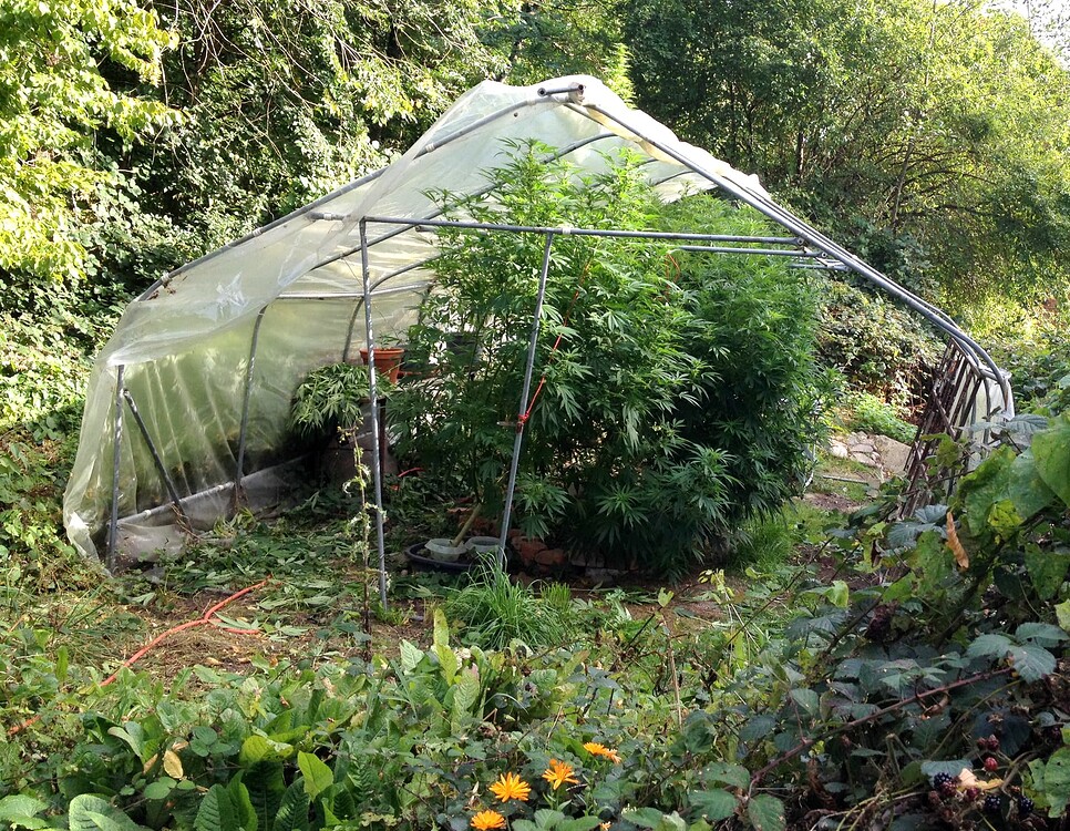 Growreport Bild 9