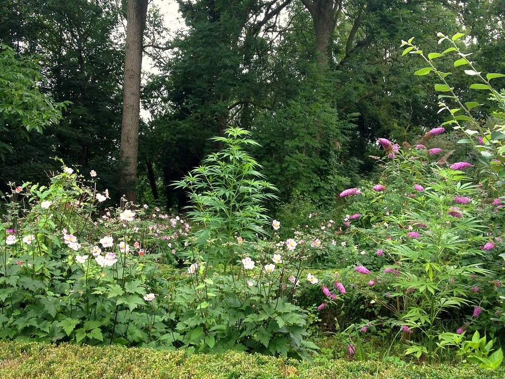 Growreport Bild 16