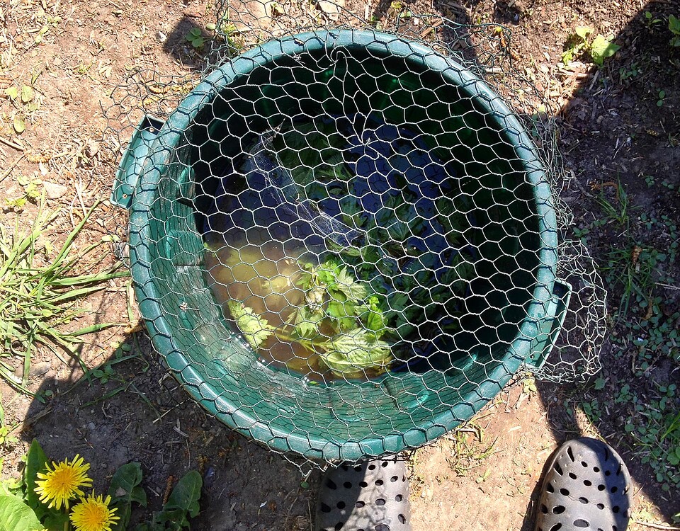 Ein grüner Eimer mit Brennnesseljauche, abgedeckt mit einem Drahtgitter, steht im Garten.