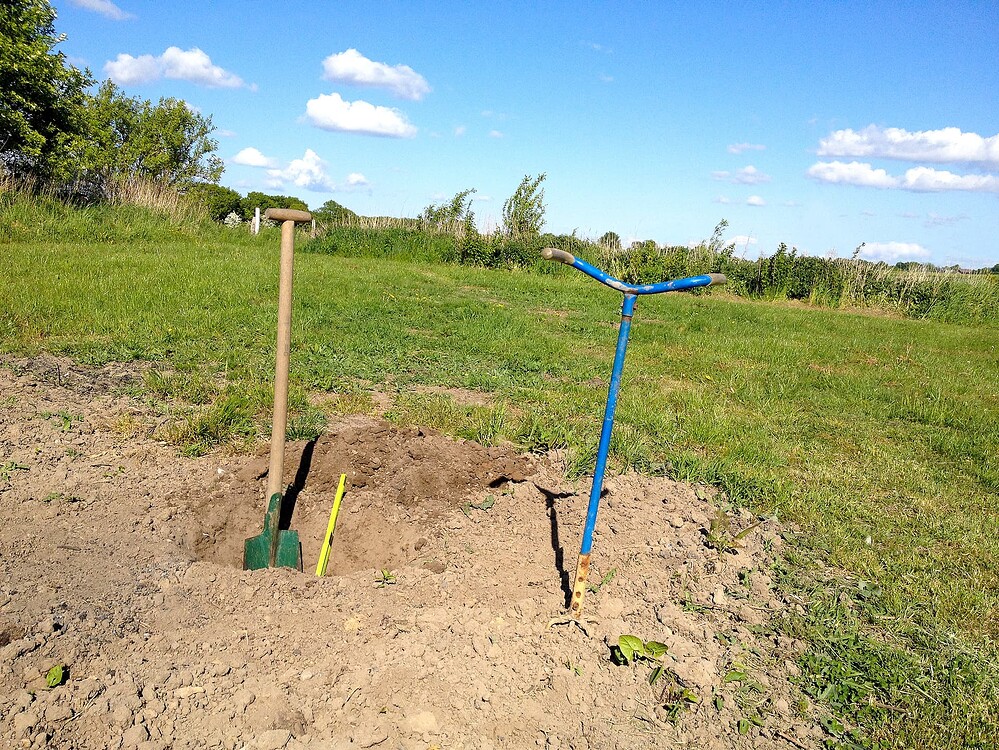 Growreport Bild 41