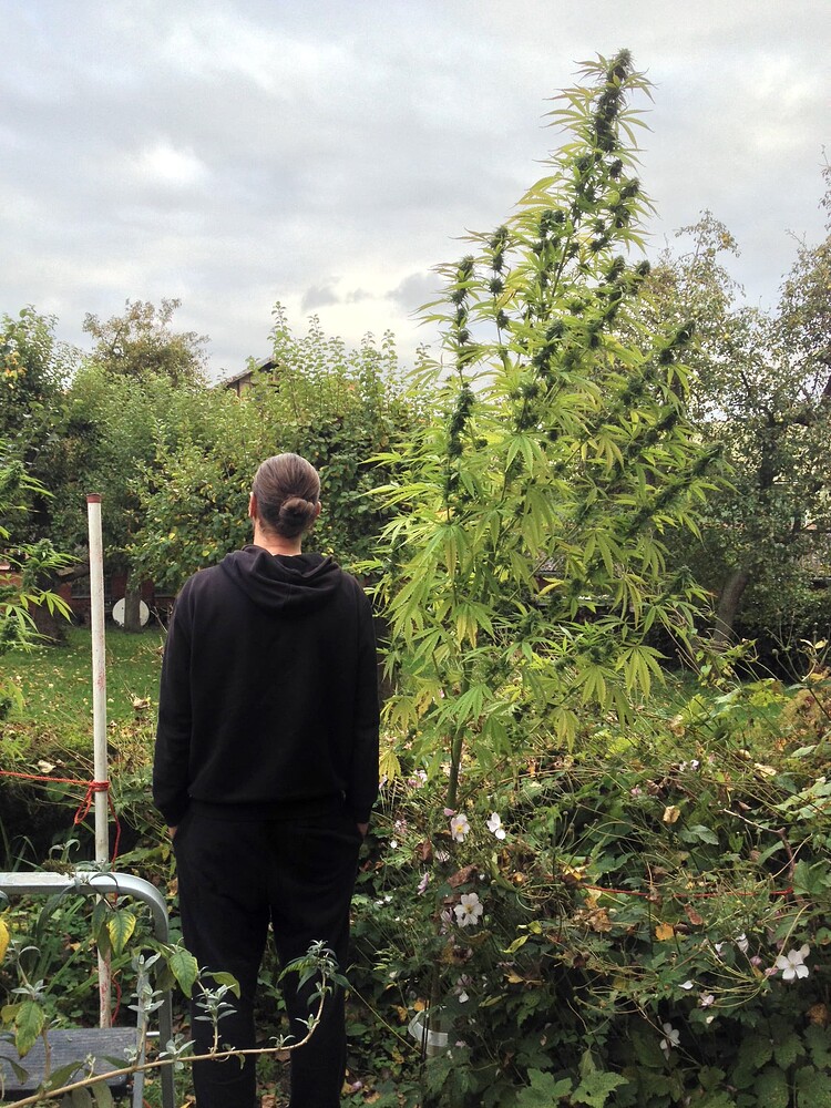 Growreport Bild 12