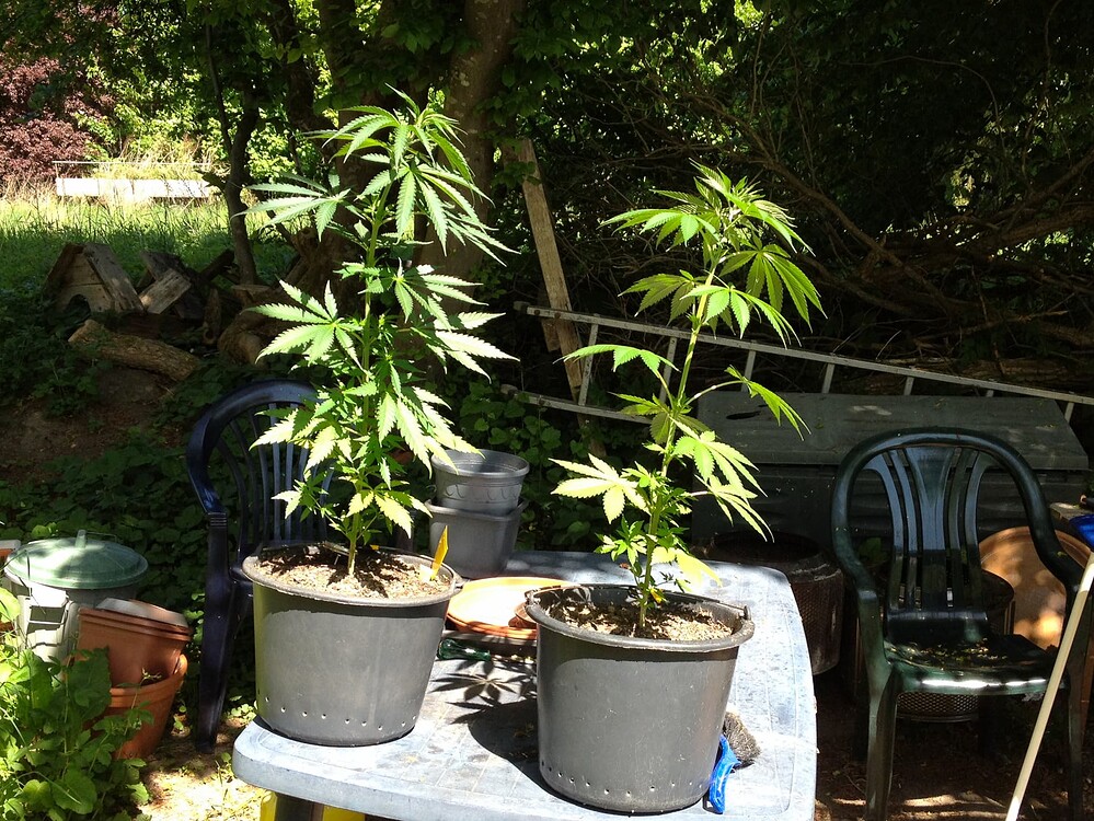 Growreport Bild 14