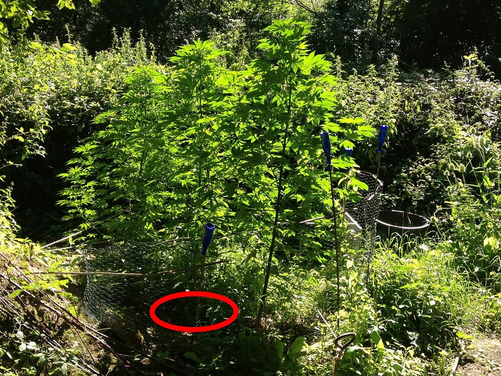 Growreport Bild 11