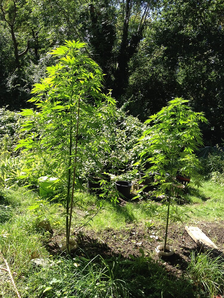 Growreport Bild 14