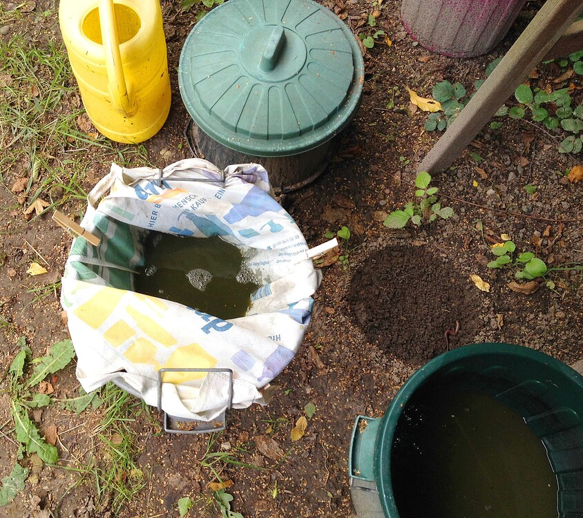 Growreport Bild 34
