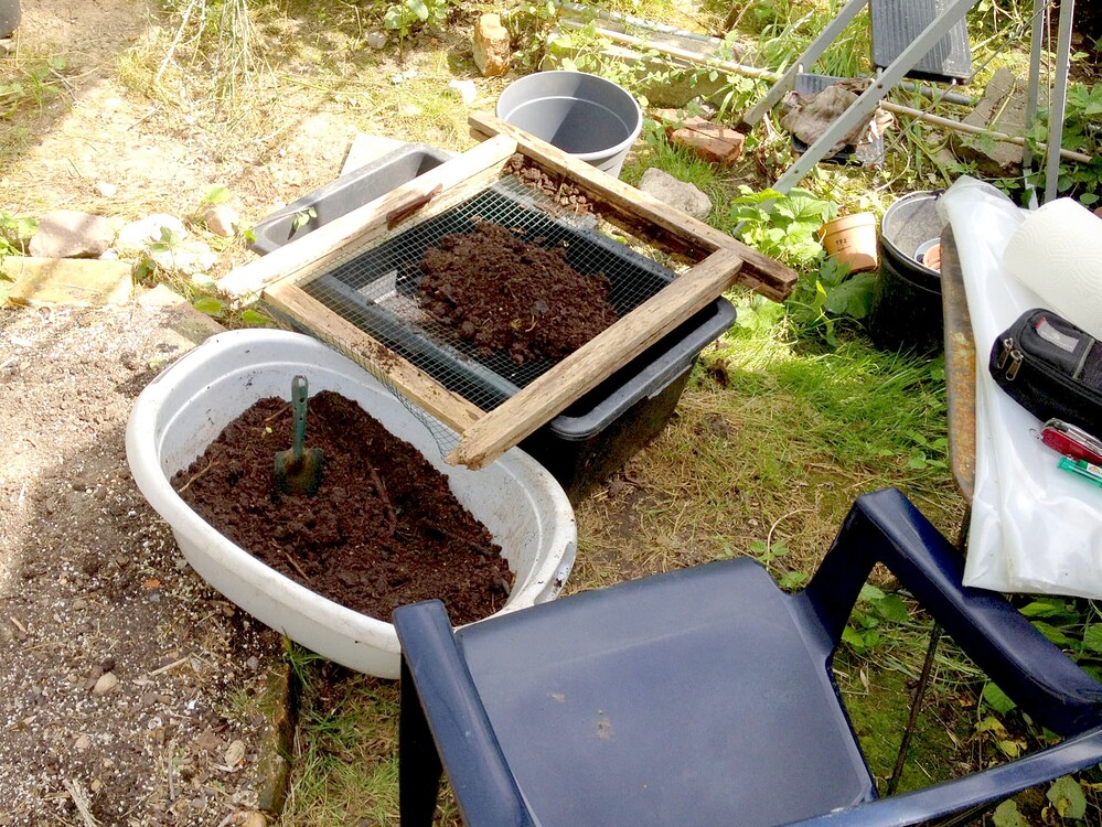 Growreport Bild 40