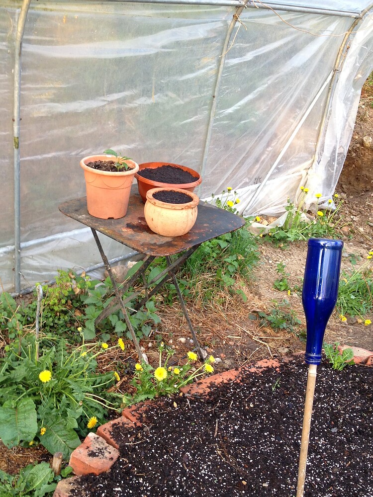 Growreport Bild 13