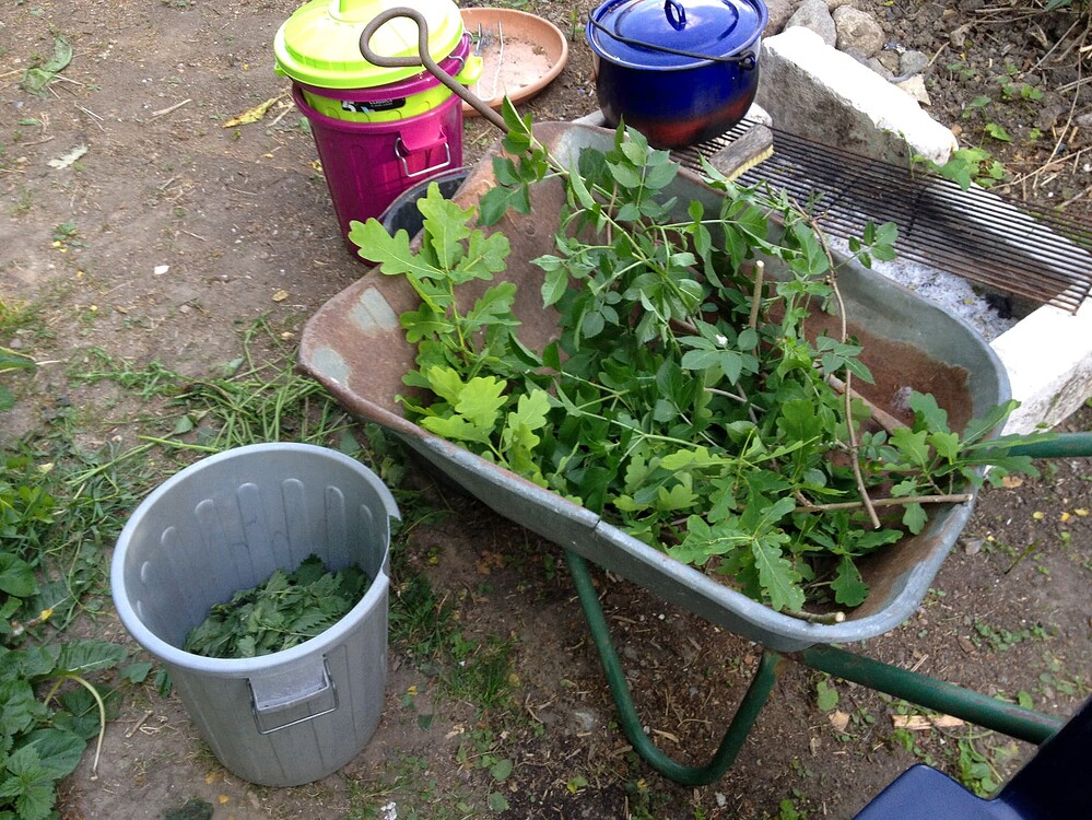 Growreport Bild 5