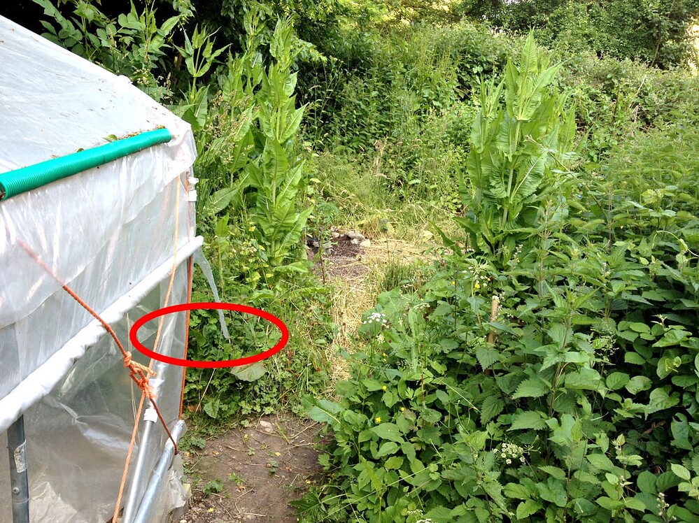 Growreport Bild 7
