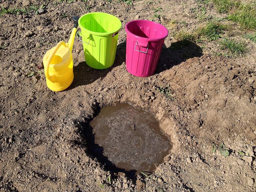 Growreport Bild 42