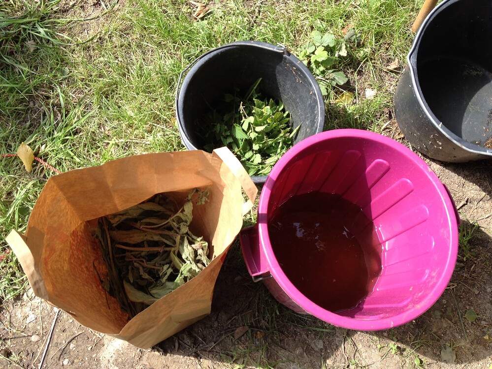 Growreport Bild 23