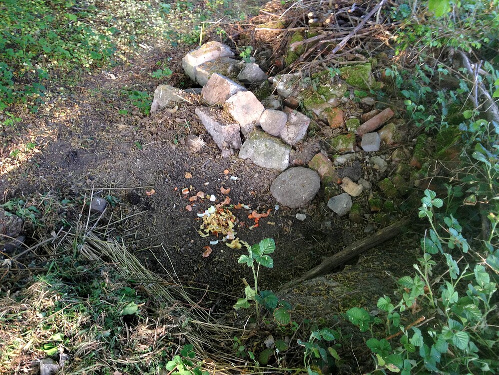 Growreport Bild 12