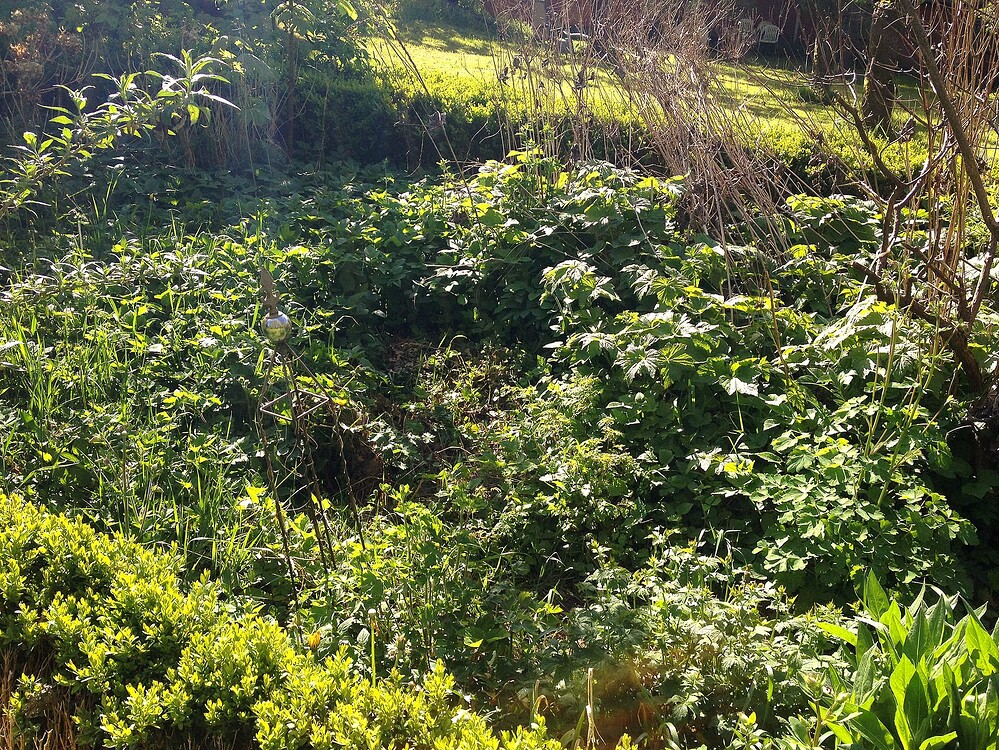 Growreport Bild 2